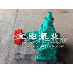 巧克力泵润滑齿轮泵食品卫生泵宝图泵业