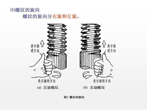 6种标准件的画法,螺纹 键销 轴承 齿轮和弹簧,60页图解说明