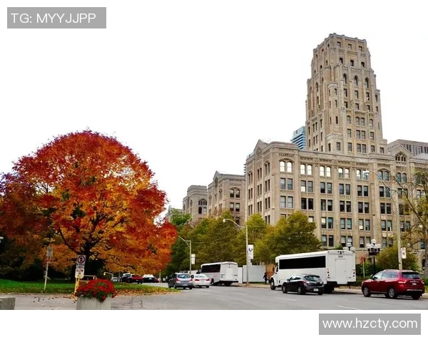 探索斯通斯的神秘历史与文化影响力之旅