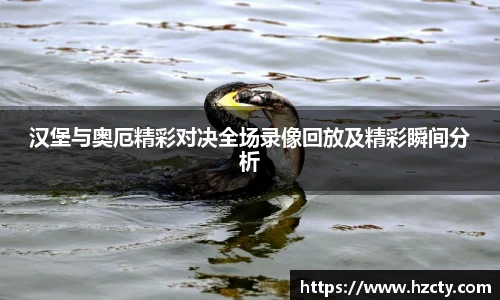 汉堡与奥厄精彩对决全场录像回放及精彩瞬间分析
